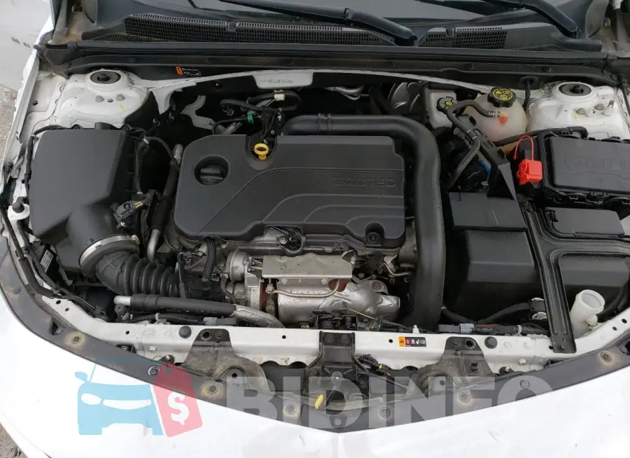 1G1ZD5ST0MF051266 Photo# 11