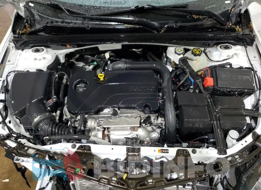 1G1ZD5ST3PF203352 Photo# 11
