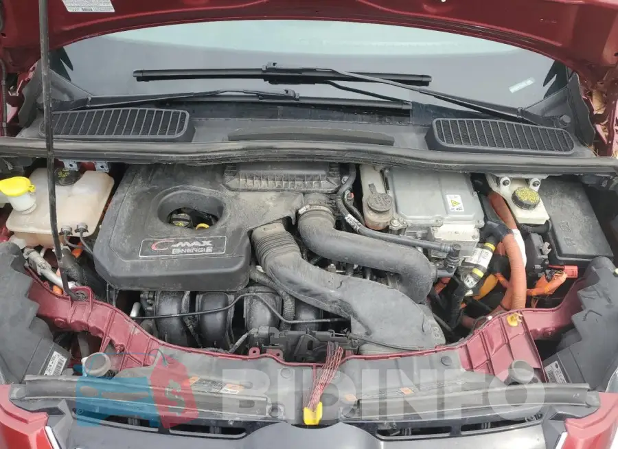 1FADP5CU2FL110120 Photo# 12