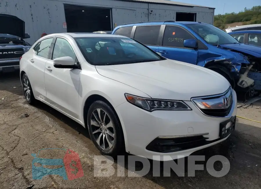 19UUB1F36FA024147 Photo# 4
