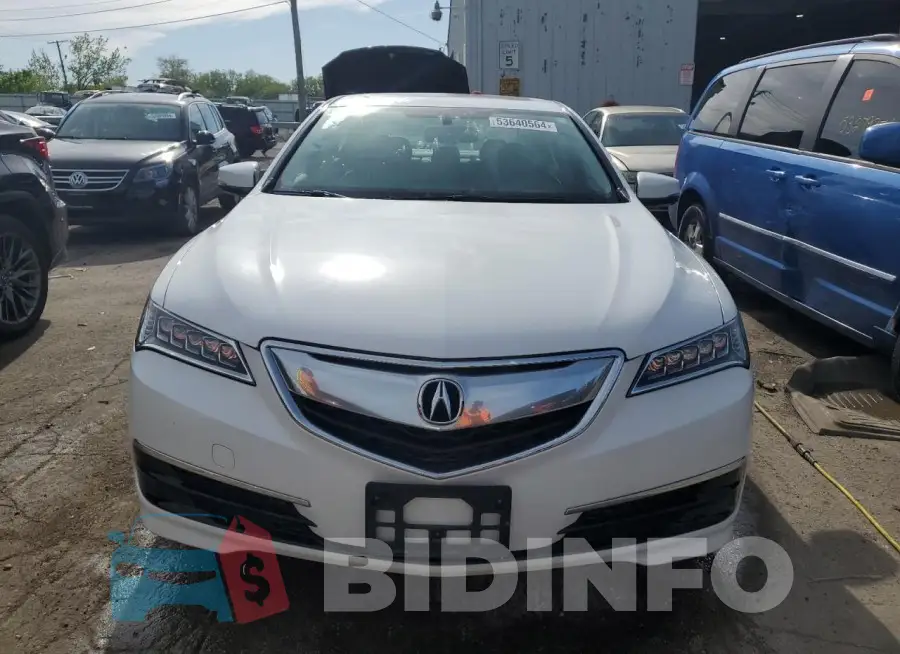 19UUB1F36FA024147 Photo# 5