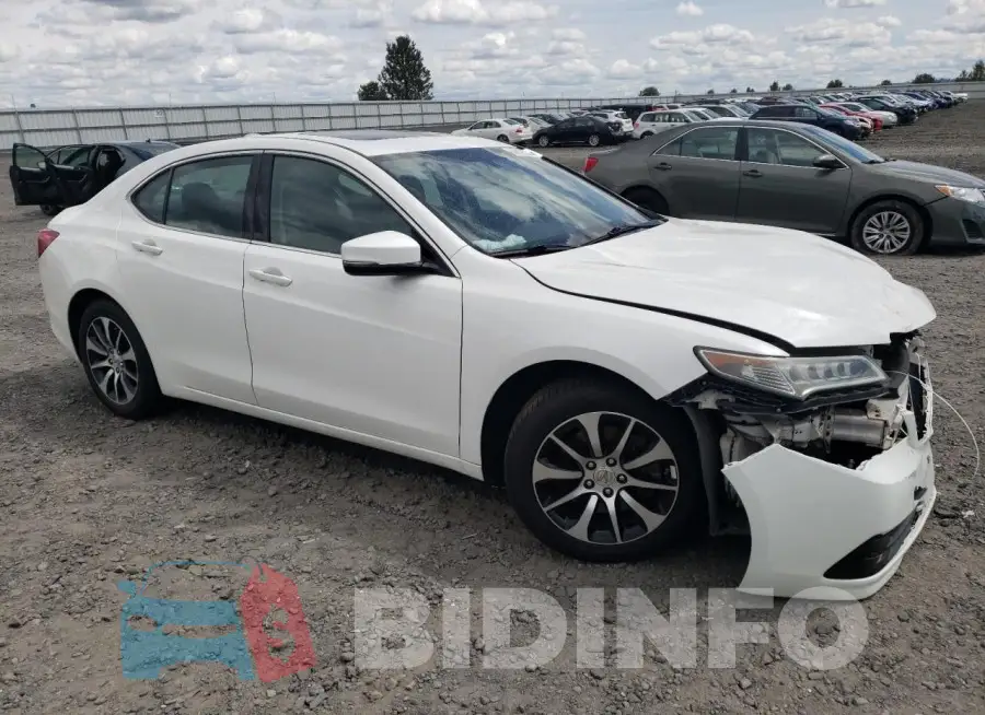 19UUB2F32FA017895 Photo# 4