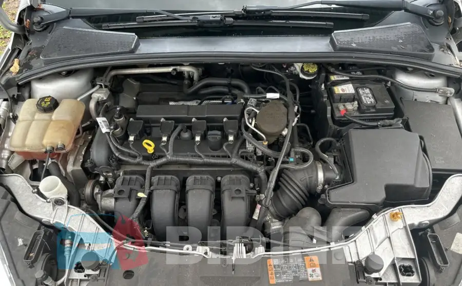 1FADP3F20FL333402 Photo# 7