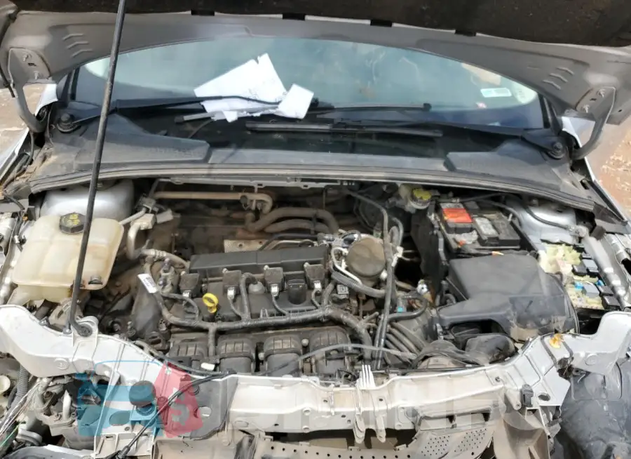 1FADP3F24FL340871 Photo# 11