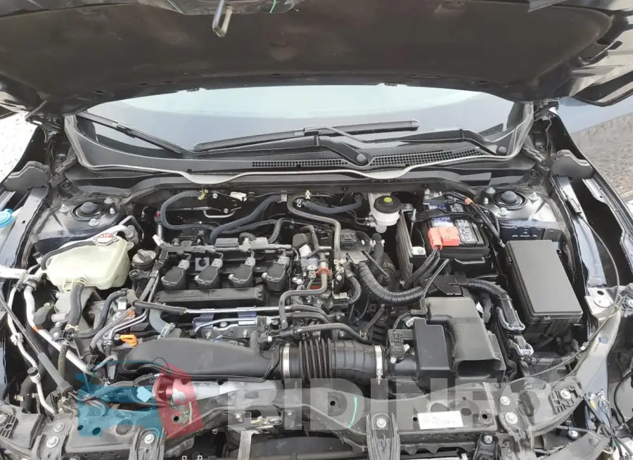 2HGFC1F33MH703894 Photo# 11