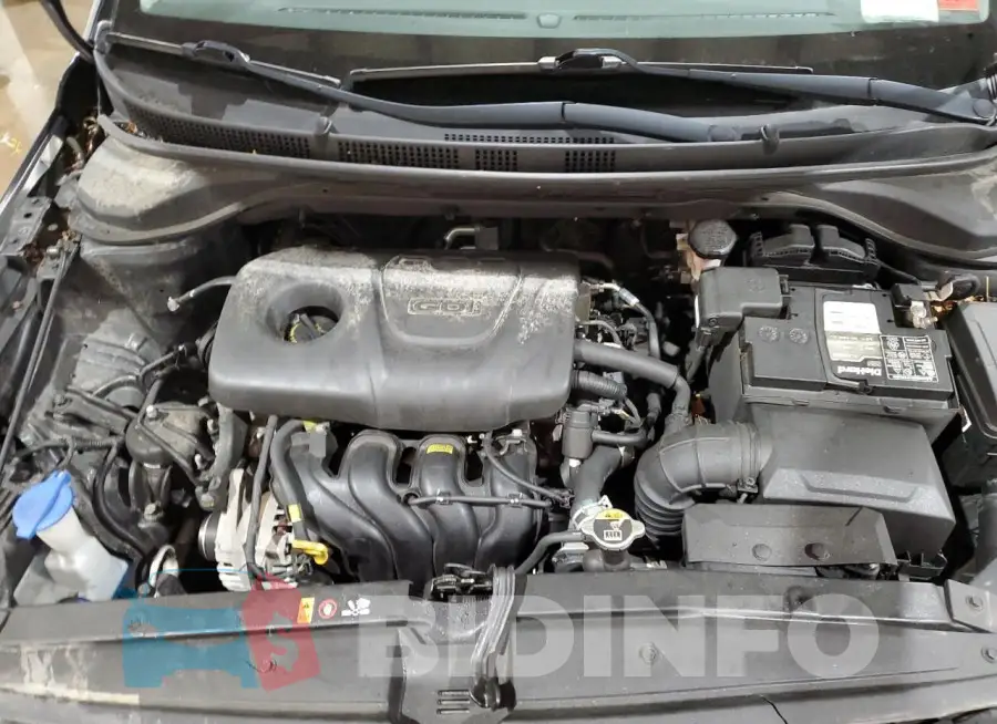 3KPC24A35KE085192 Photo# 11