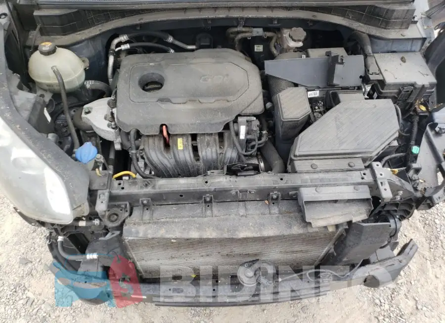 KNDPN3AC2K7499971 Photo# 12