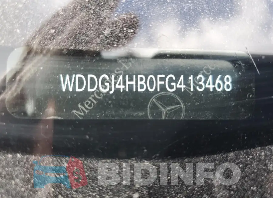 WDDGJ4HB0FG413468 Photo# 12