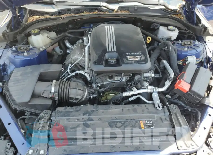 1G6DA5RK7M0143245 Photo# 11