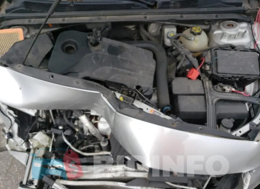 1G1ZD5ST3KF174170 Photo# 11