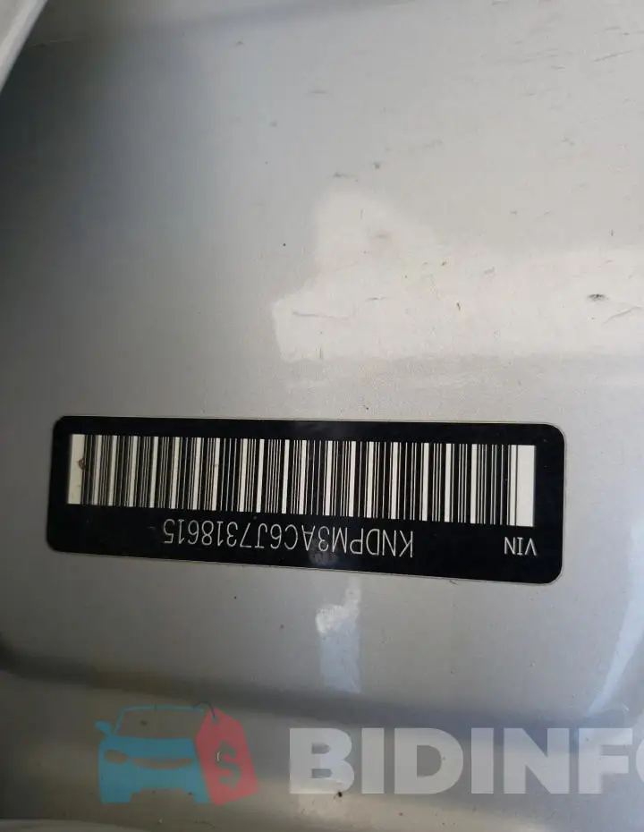KNDPM3AC6J7318615 Photo# 13