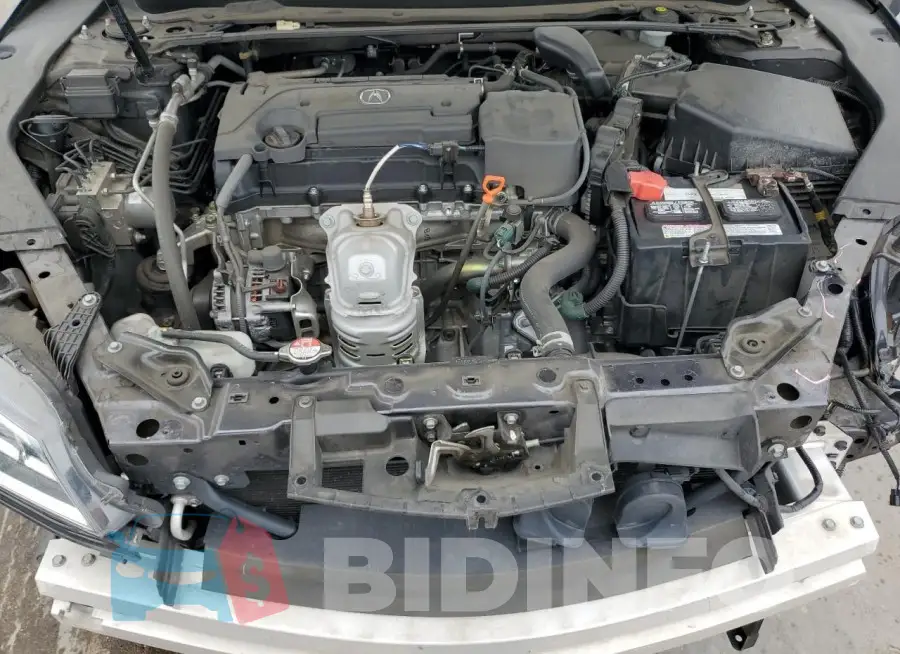 19UUB1F50FA001562 Photo# 11