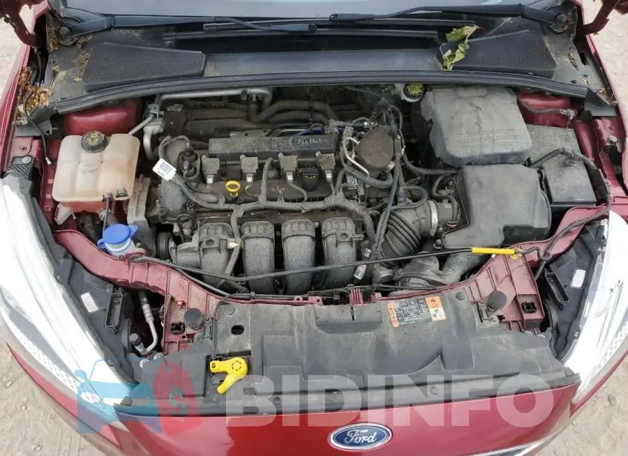 1FADP3F26GL203237 Photo# 11