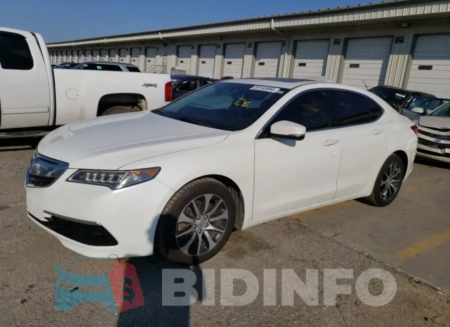 19UUB1F33FA005250 Photo# 1