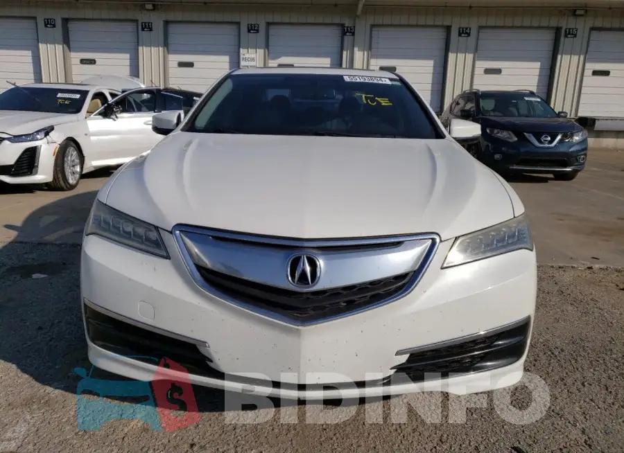 19UUB1F33FA005250 Photo# 5