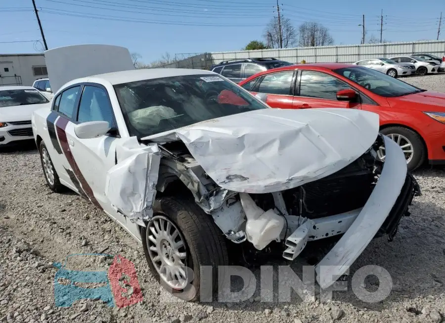 2C3CDXKG1MH613321 Photo# 4