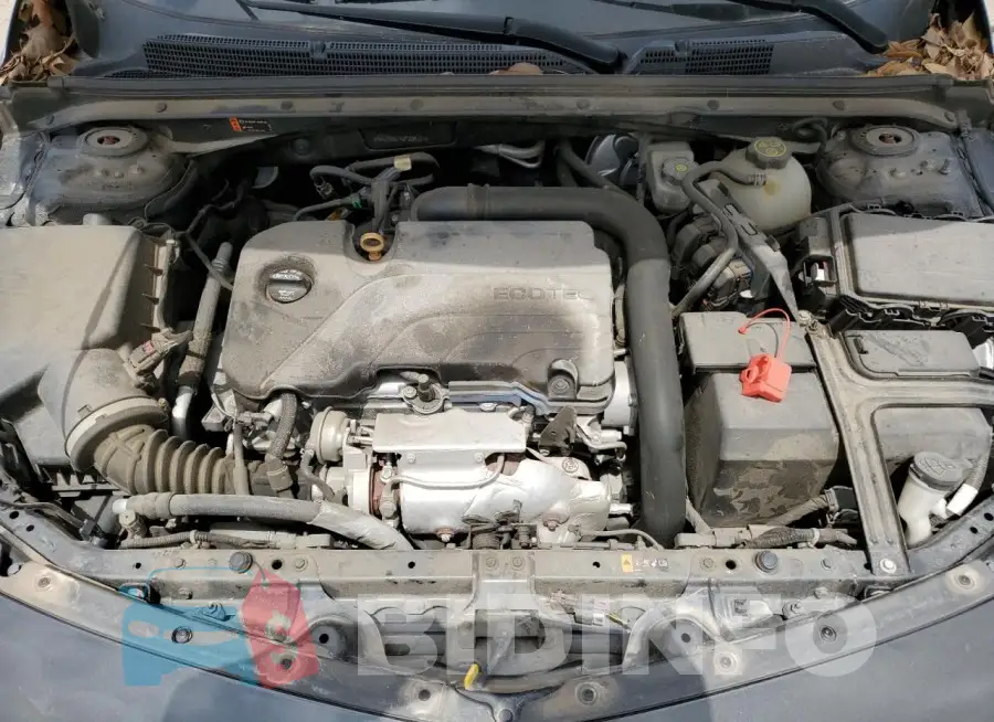 1G1ZB5STXJF209727 Photo# 11