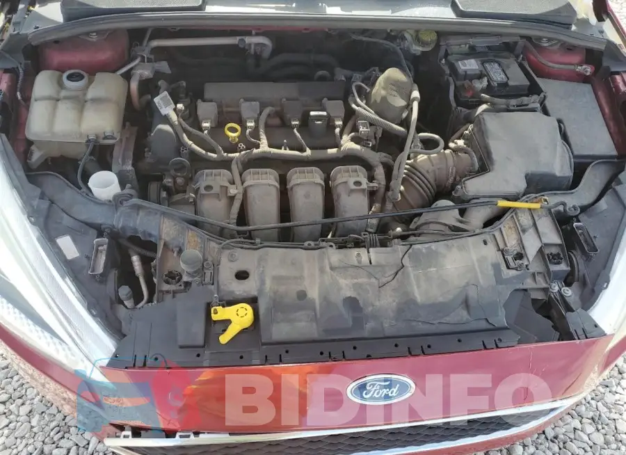 1FADP3F26GL245634 Photo# 11