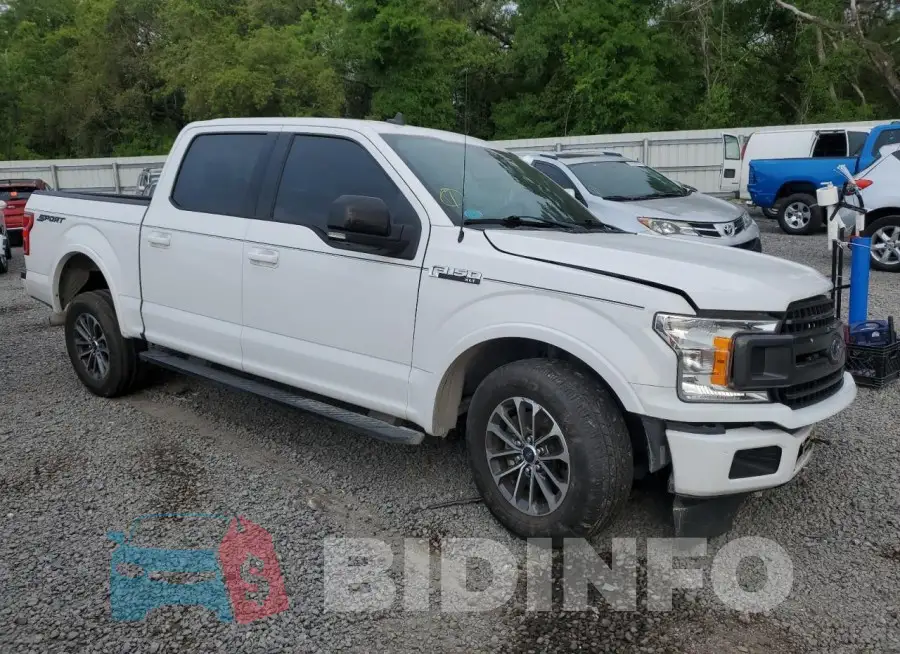 1FTEW1CP0KFA39318 Photo# 4