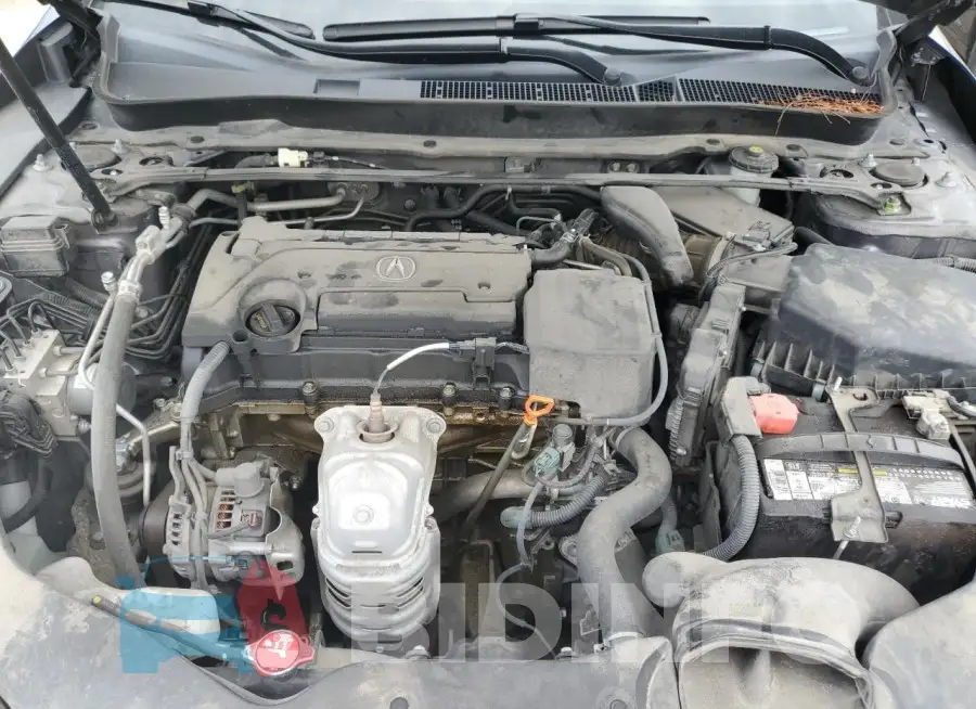 19UUB1F34JA008537 Photo# 11