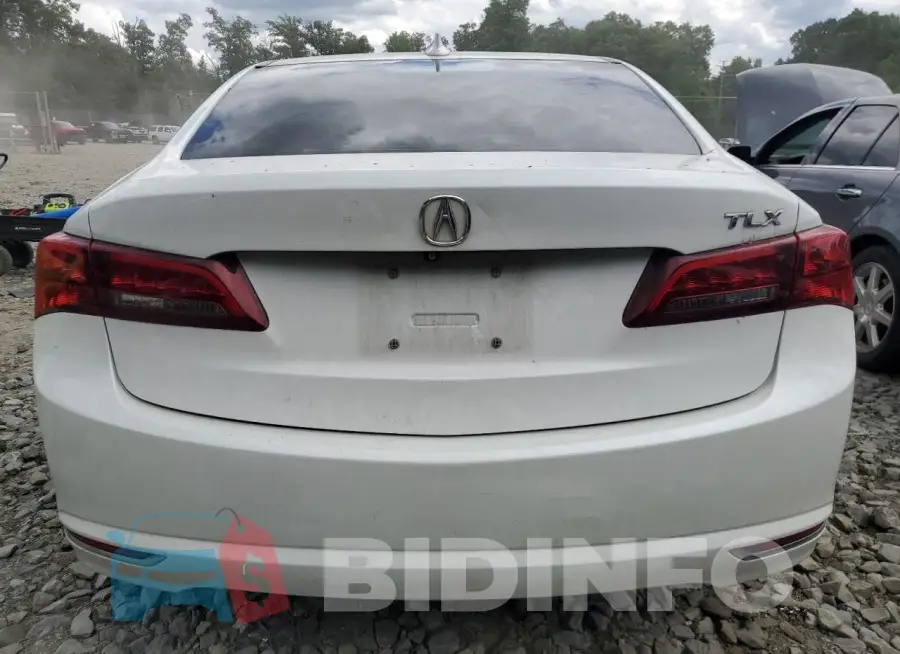 19UUB2F50FA004452 Photo# 6