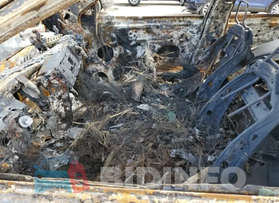KNMAT2MT1GP643177 Photo# 7