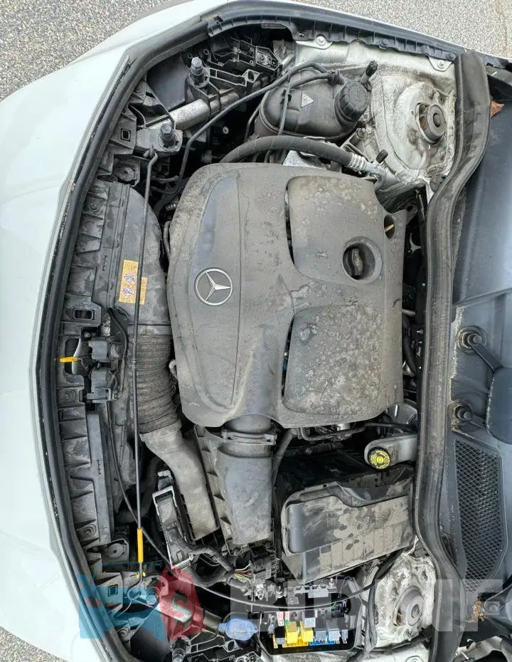 WDDSJ4EB2JN569868 Photo# 7
