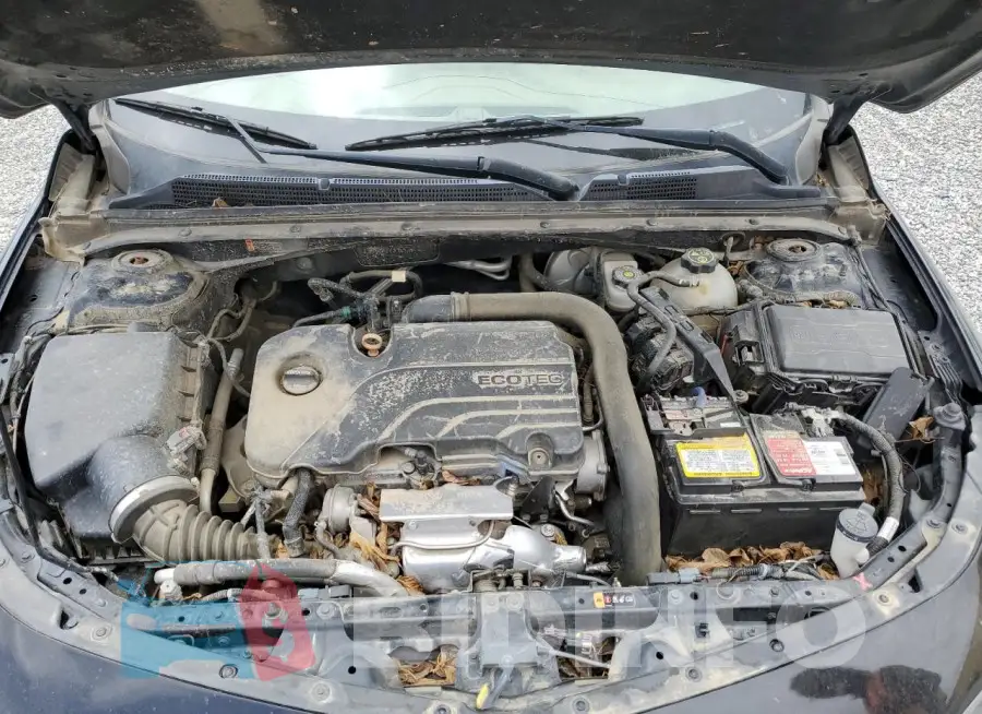 1G1ZD5ST1JF186168 Photo# 11