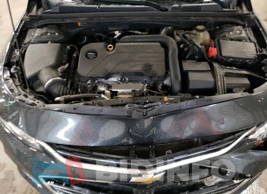 1G1ZD5ST2JF257815 Photo# 11