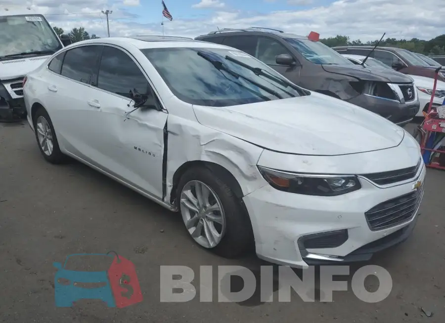 1G1ZJ5SU5GF311473 Photo# 4
