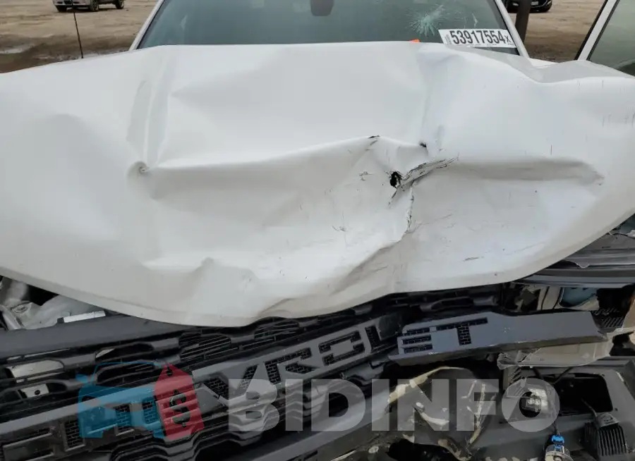 3GCPYCEF9MG351173 Photo# 11