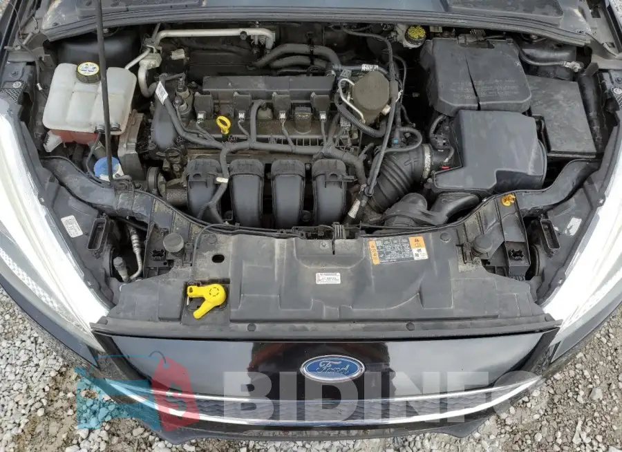 1FADP3F23GL233439 Photo# 11