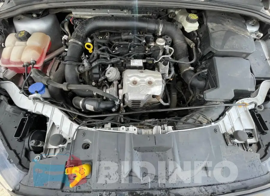 1FADP3FE0HL264174 Photo# 7