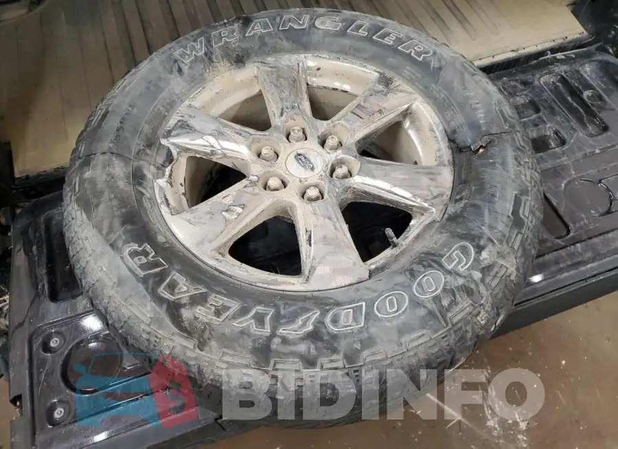 1FTFW1E55LKE79897 Photo# 12