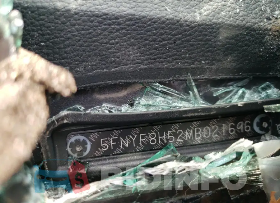 5FNYF8H52MB021696 Photo# 13