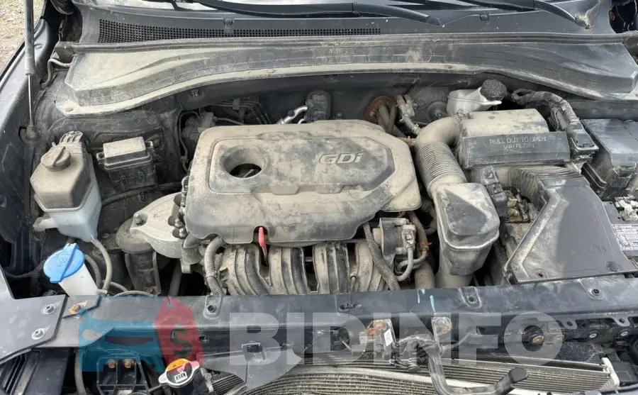 5NMS2CAD1KH053072 Photo# 7