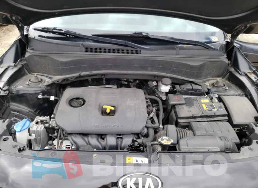 KNDEU2AA3M7111037 Photo# 12