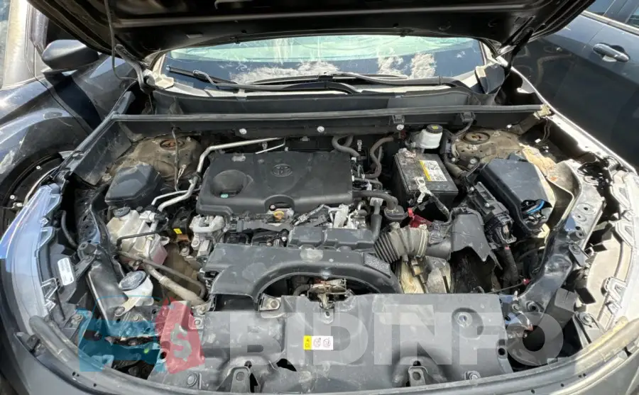 2T3B1RFV7KW069490 Photo# 7