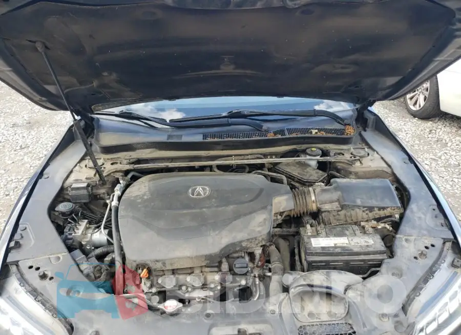 19UUB2F37FA001384 Photo# 11
