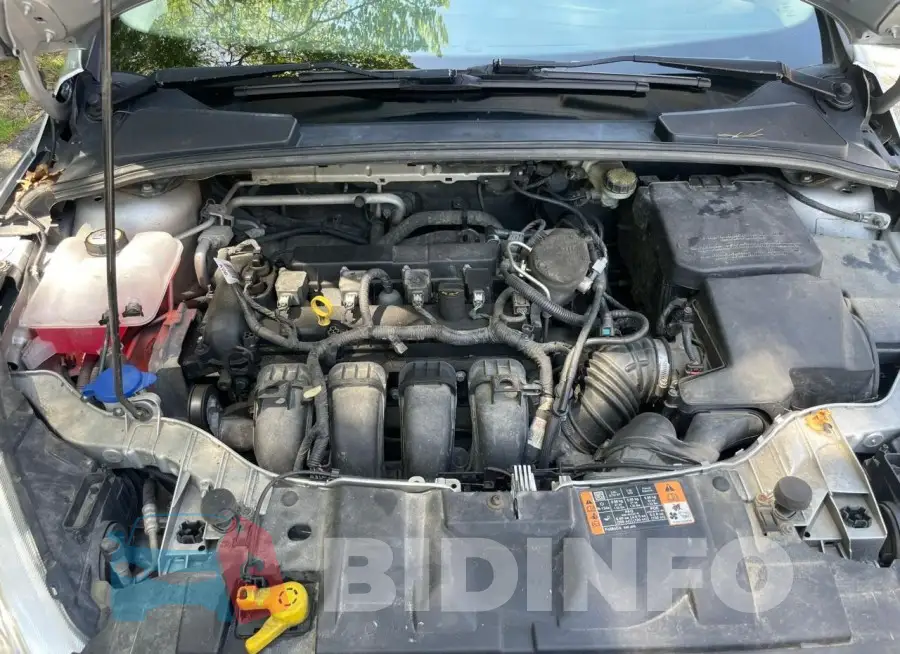 1FADP3E25GL298679 Photo# 7
