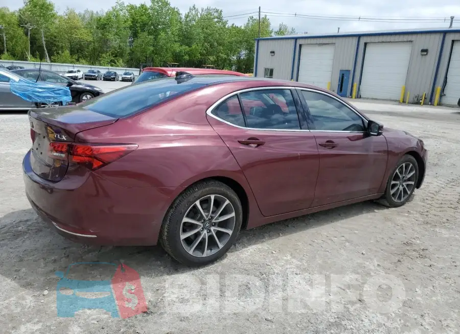 19UUB2F33FA022913 Photo# 3