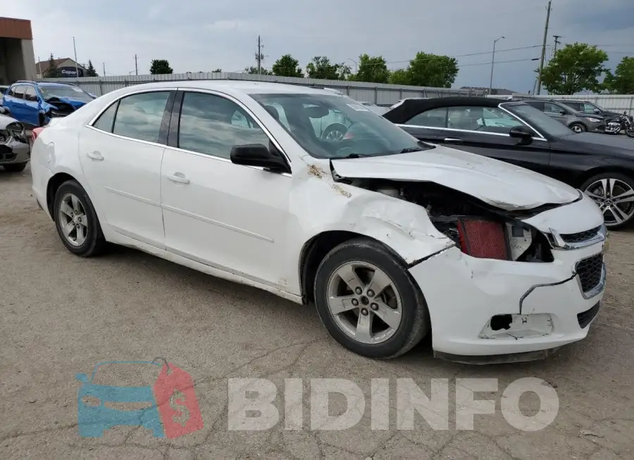1G11B5SL3FF161721 Photo# 4