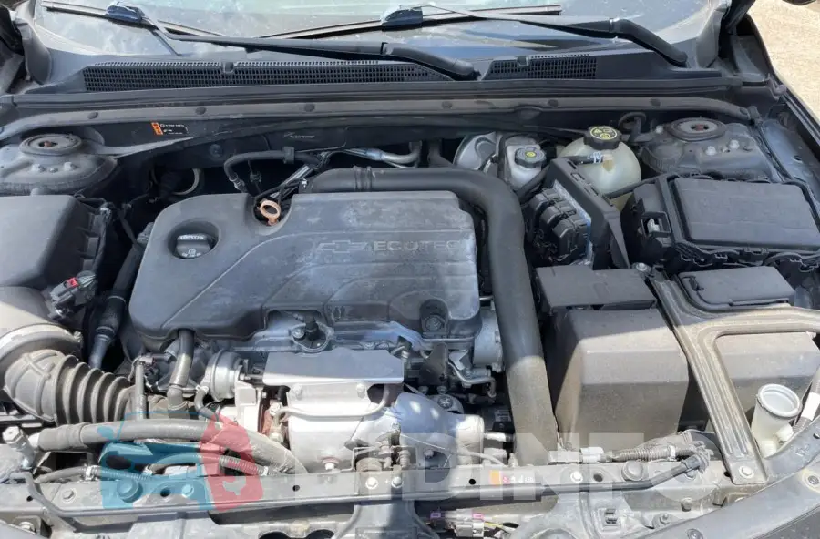 1G1ZE5ST5HF201682 Photo# 7