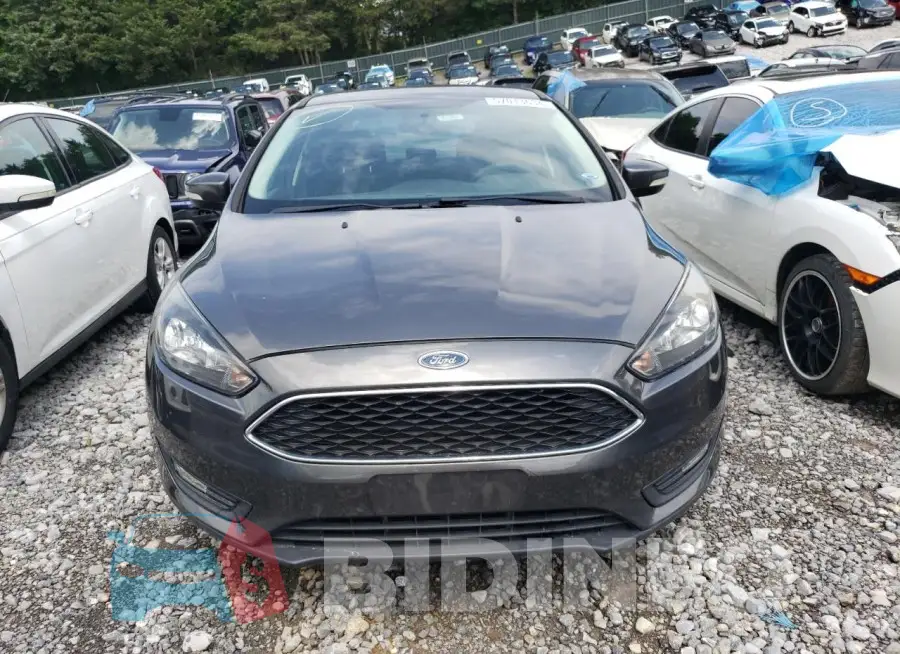 1FADP3H29JL294363 Photo# 5