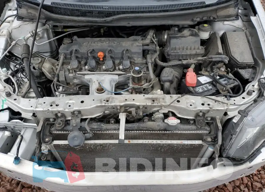 19XFB2F73FE238204 Photo# 11