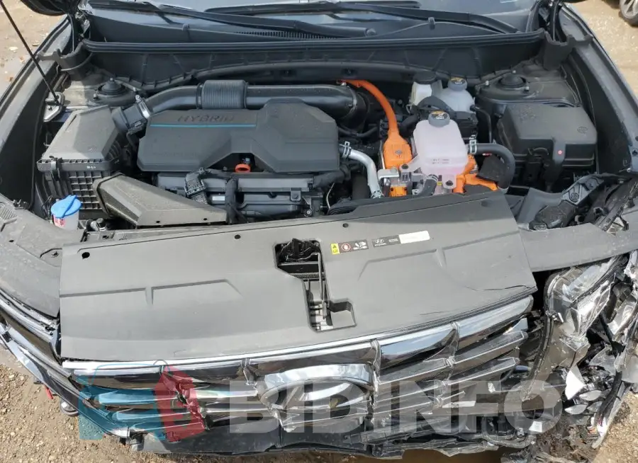 KM8JECD19RU179876 Photo# 11