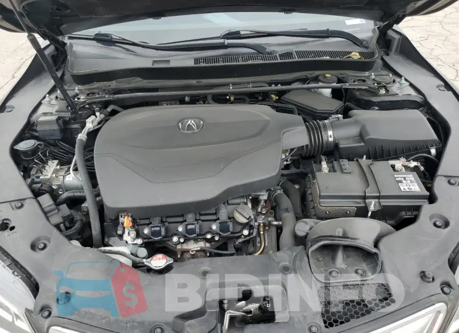 19UUB2F50FA008064 Photo# 11
