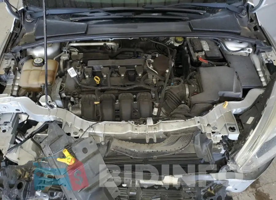 1FADP3F22GL261300 Photo# 11