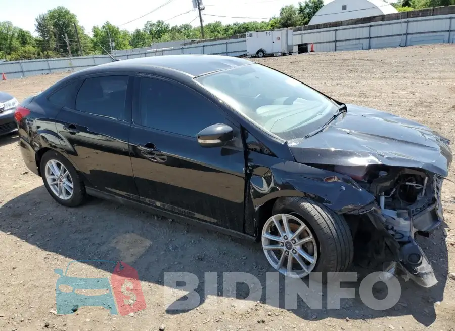 1FADP3F29GL264596 Photo# 4