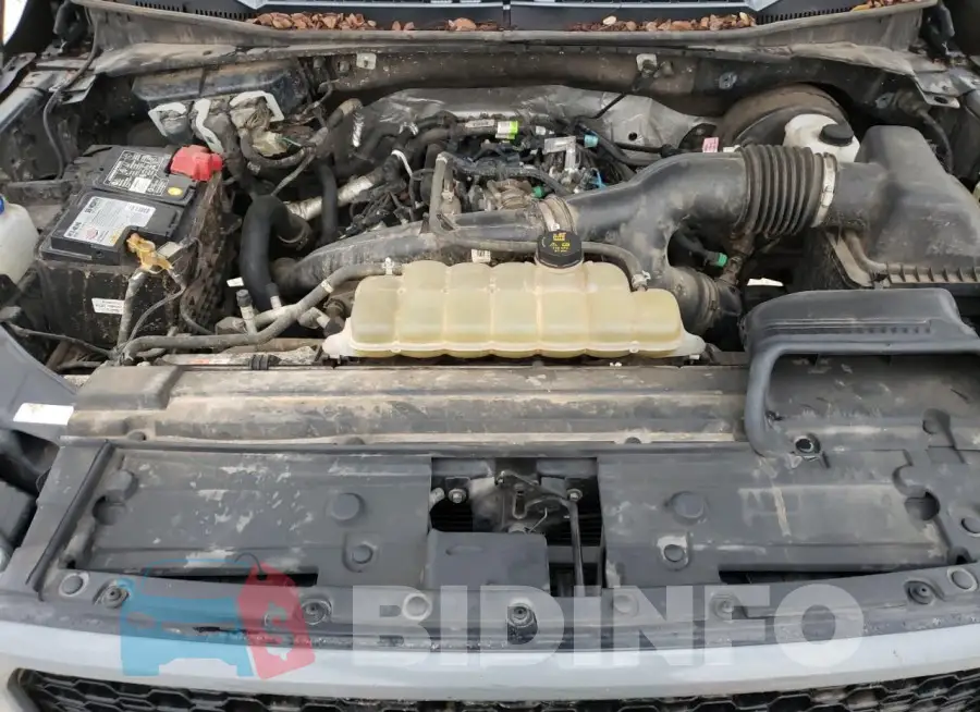 1FTEW1CP3LKE59762 Photo# 11